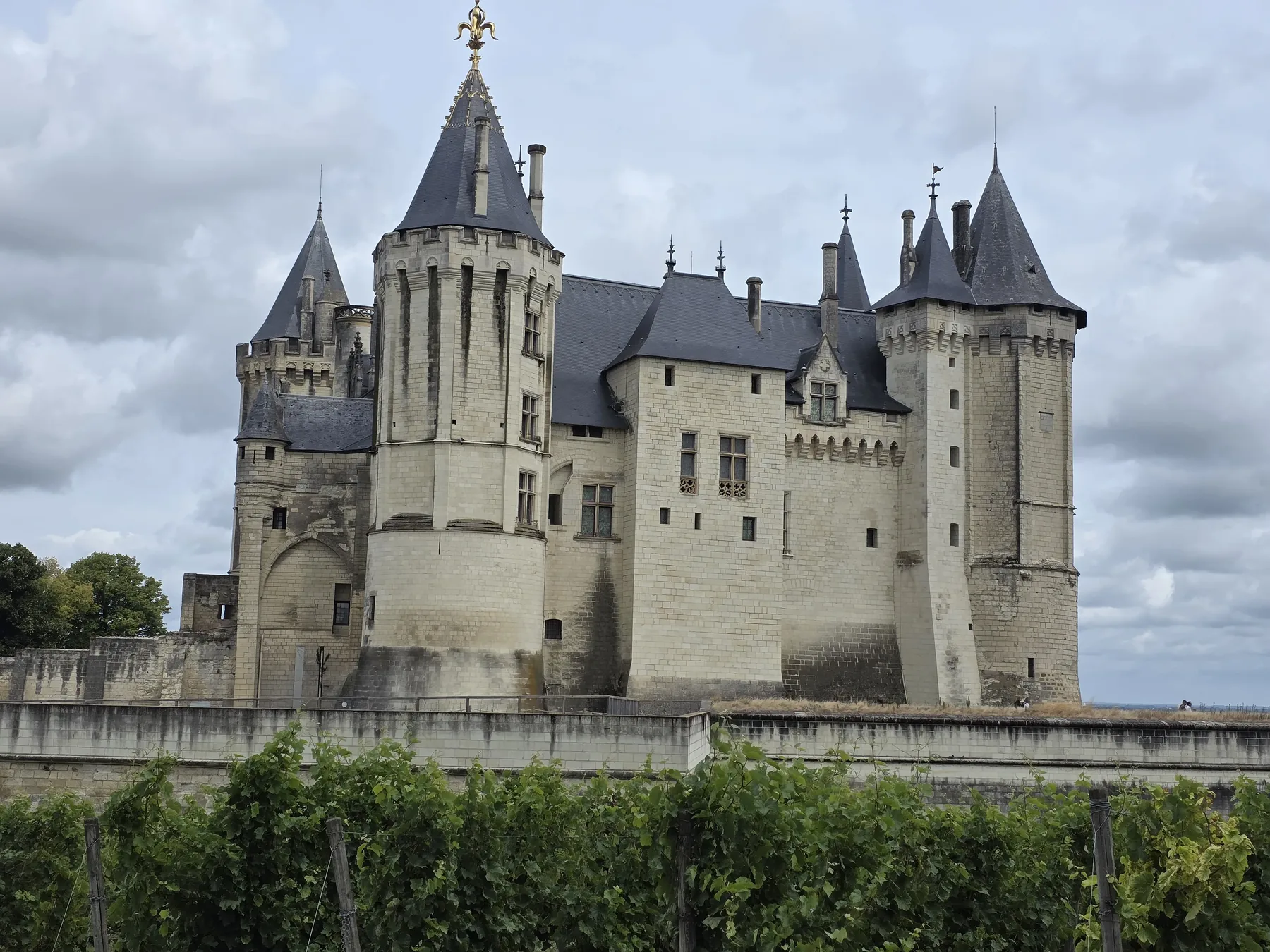 Château de Saumur with vineyards in the foreground