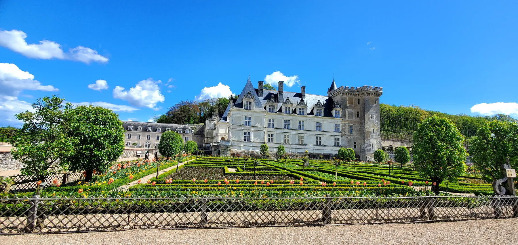 Château de Villandry seen from its formal Renaissance gardens, tulips in foreground